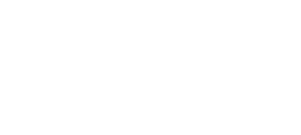 vvvshop